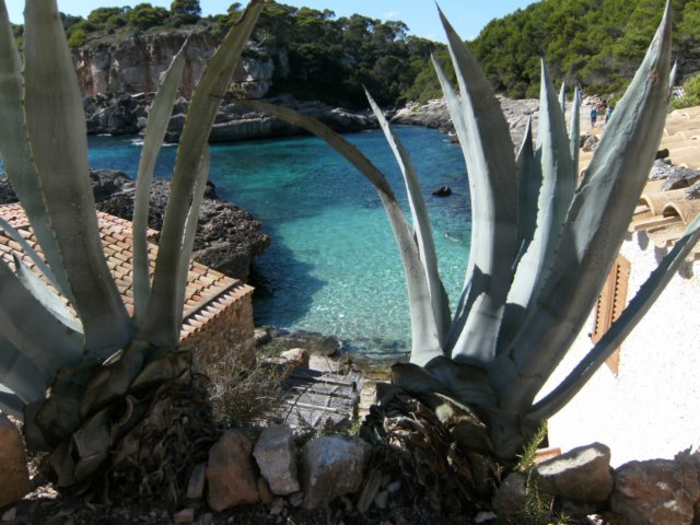 umgebung_calallombard_mallorca_7.jpg